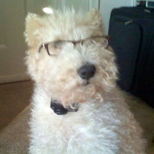 Meet your Posher, Suzy